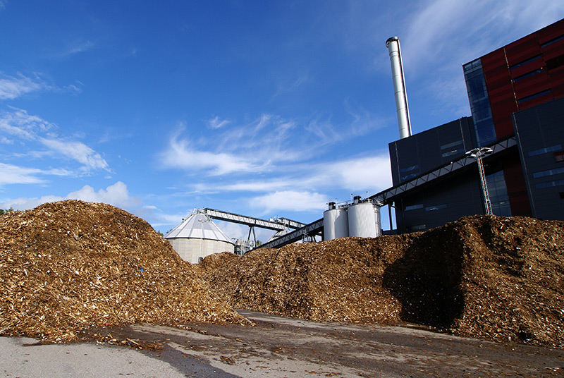 Resíduos de madeira