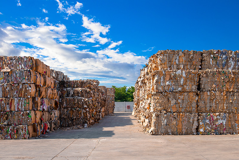 Resíduos de papel e cartão